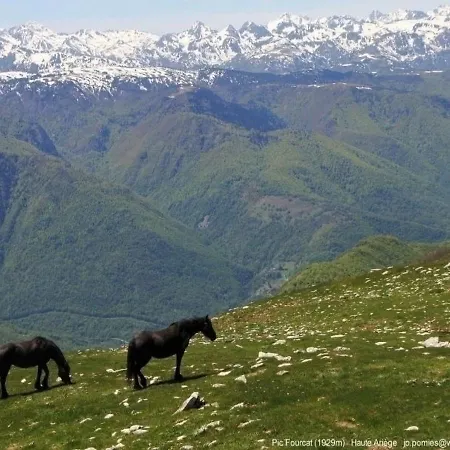 Les Hauts Plateaux 45 옥스레테르메스